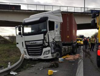 Meer dan anderhalf uur vertraging richting Antwerpen na ongeval met vrachtwagens op E17 in Destelbergen