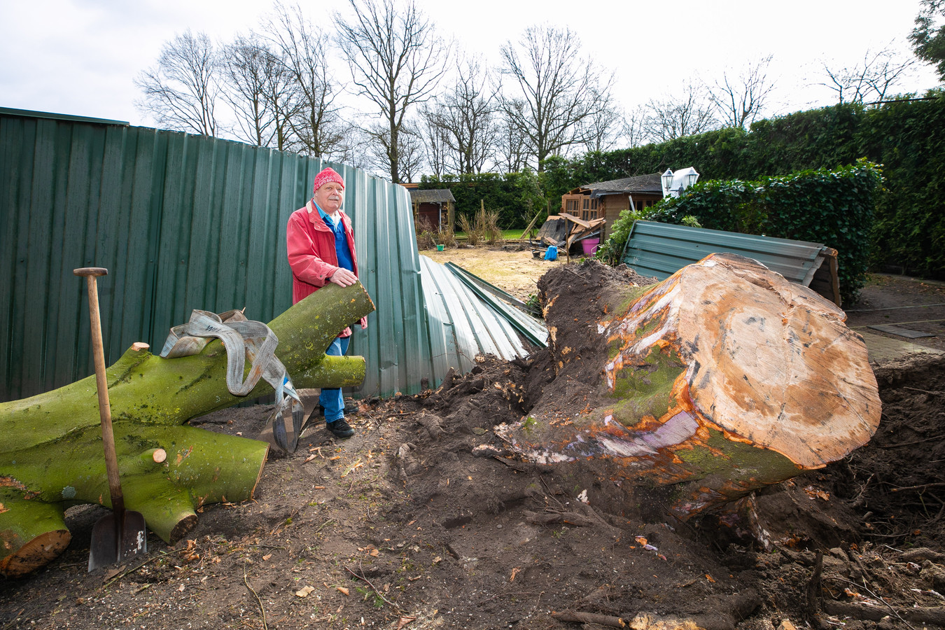 Zit je op de bank, zie je ineens een enorme boom je tuin in donderen