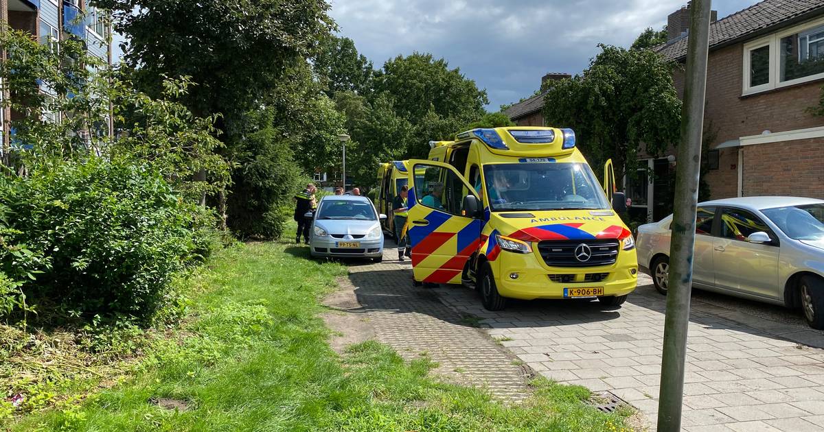 Geen onderzoek naar politie-optreden bij arrestatie Deventer met zwaargewonde: ‘sprong van vier hoog verwacht je niet'.