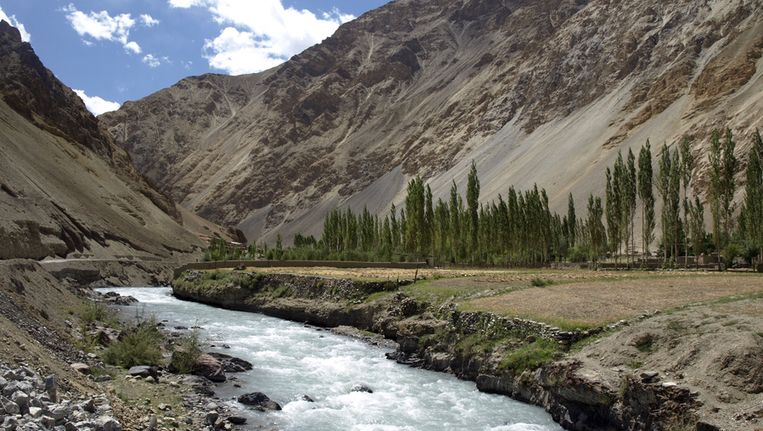 Wereldrecord bomen planten in Himalaya-woestijn | De Morgen