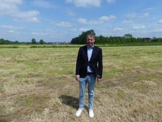 Van sterretjesweide tot strooiweide voor huisdieren: stad zoekt ontwerper voor parkbosbegraafplaats in Bachte