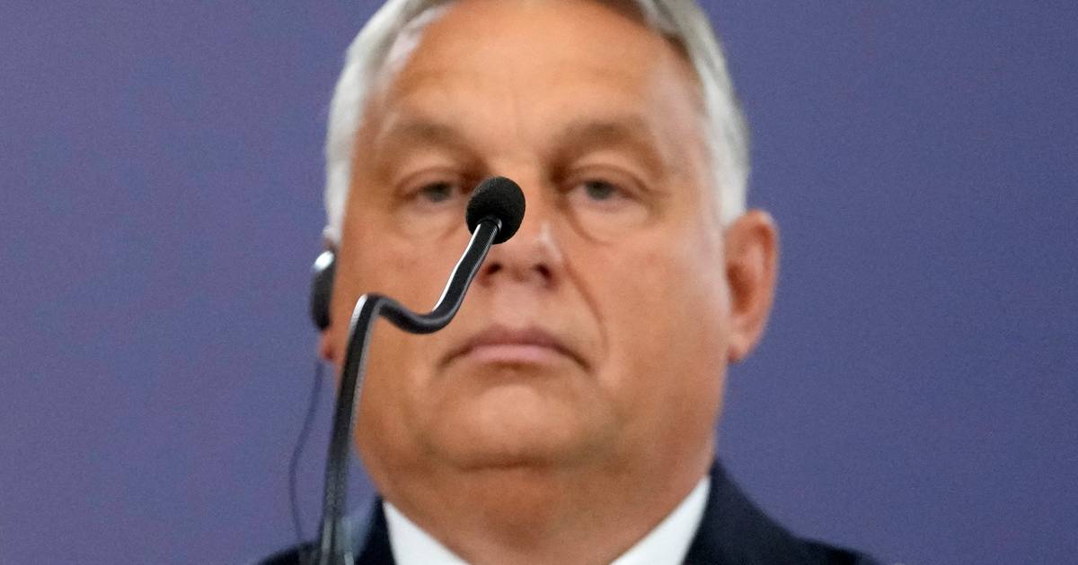 Новая критика Венгрии: комиссар ЕС Рейндерс указывает пальцем на Орбана из-за замораживания российских активов |  За рубежом