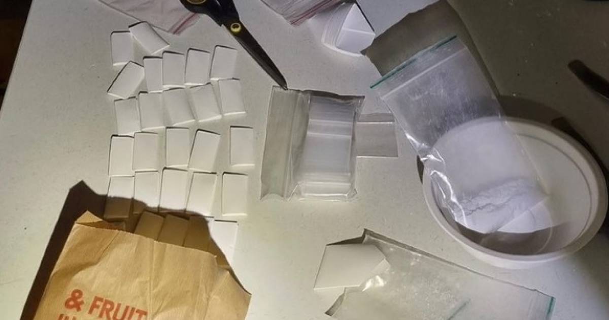 Grote hoeveelheden drugs en cash gevonden in huis in Hoogeloon