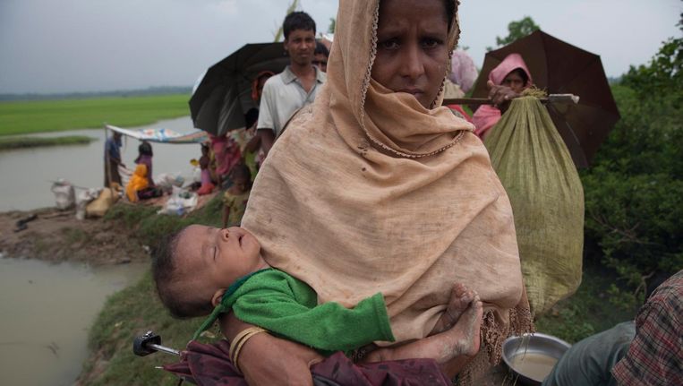 Rohingya trekken Bangladesh binnen bij de grens tussen Myanmar en Bangladesh. Beeld EPA