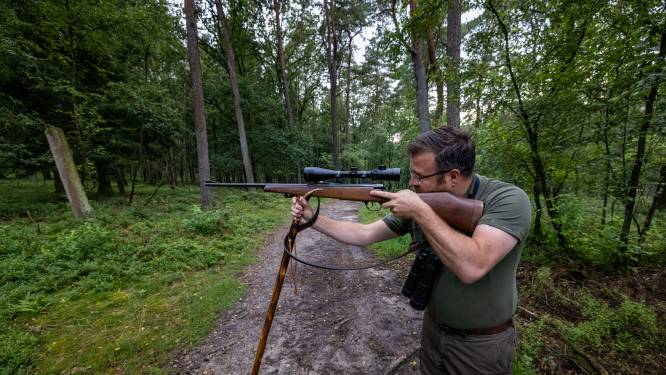 Leendert schiet record aan zwijnen dood op de Veluwe: ‘Na een schot heb ik gemengde gevoelens’