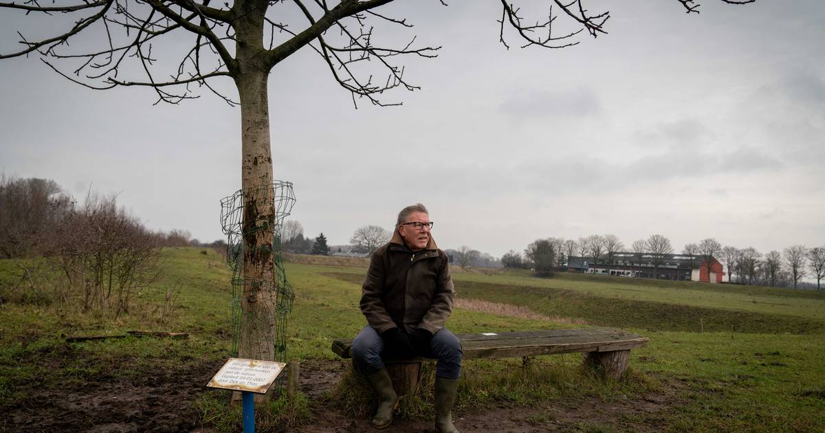 Bankje in de polder is de favoriete plek van Theo (71): 'Dit is het kruispunt van mijn leven' - De G