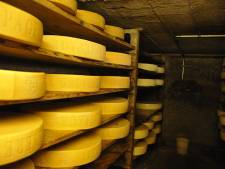 Aux États-Unis, la justice a tranché: n’importe quel fromage à trous peut s’appeler du gruyère