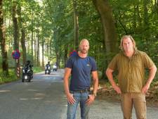 Roep om minder verkeer in ‘het meest bijzondere bos van Nederland’: ‘Te veel stikstofneerslag’