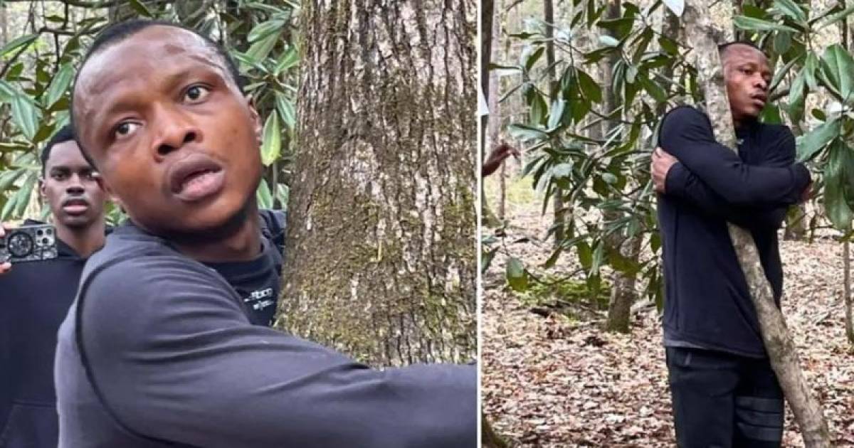Ghanese boomknuffelaar breekt wereldrecord | Buitenland | AD.nl