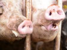 De landbouwsector heeft veel vragen, maar weinig antwoorden