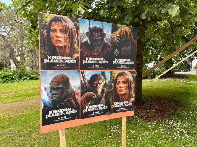 ‘The Planet of the Apes’: Grappenmaker plaatst opvallende ‘reclame’ naast verkiezingsborden