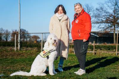 Assistentiehond Woody traint zich suf om ‘vuurwerkproof’ te worden