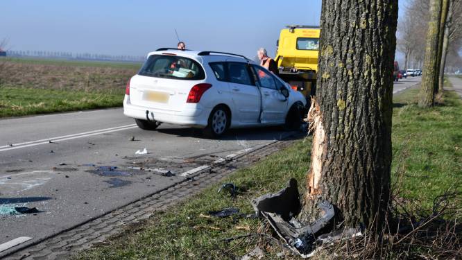 Auto knalt tegen boom in Poortvliet