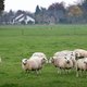 ‘Kleine gemeenten delven het onderspit’