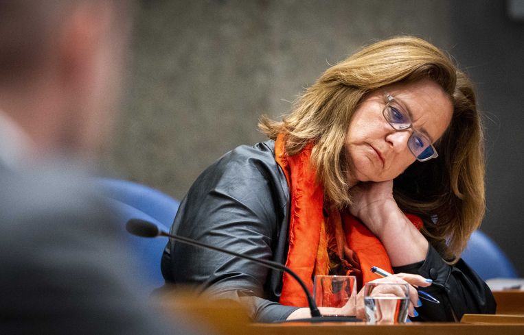 Staatssecretaris Aukje de Vries (toeslagen en douane) tijdens een debat in de Tweede Kamer over afhandeling van de toeslagenaffaire. ANP LEX VAN LIESHOUT Beeld ANP