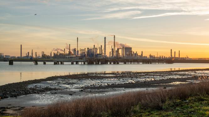 Chemiereus Dow schrapt 2000 banen. Verdwijnen er ook arbeidsplaatsen in Terneuzen? ,,Dat weten we pas eind maart.”