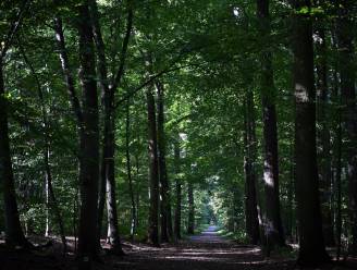 Provincie dient masterplan Nationaal Park Brabantse Wouden officieel in: “Surplus voor natuur, cultuur én landbouw.”