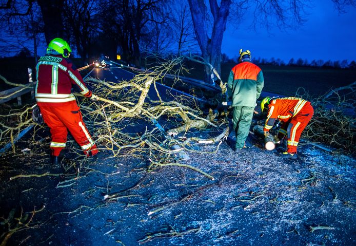 Duitse brandweermannen halen een omgevallen boom van de weg.