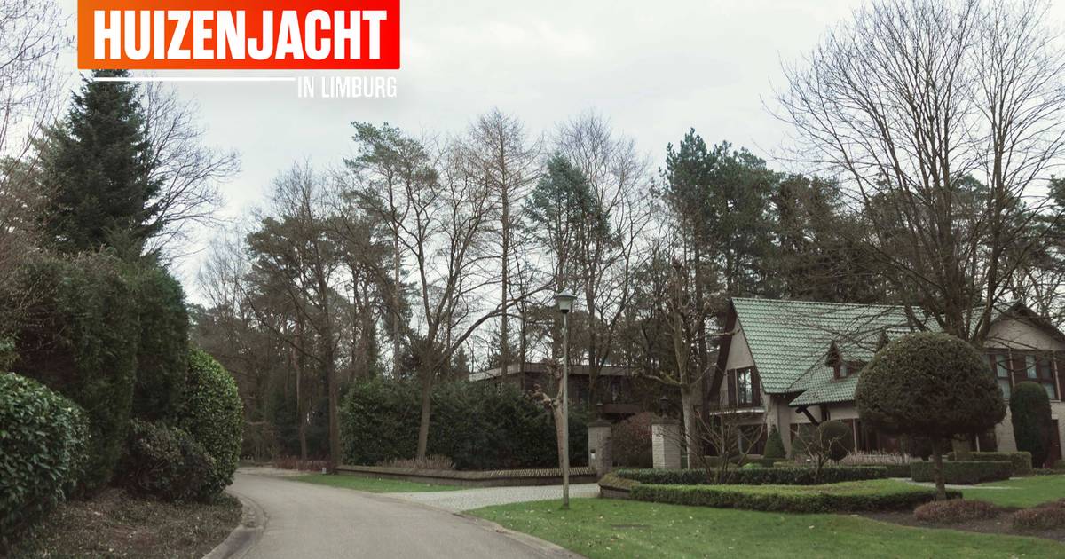 HECHTEL EKSEL HET NIEUWS visual data 5