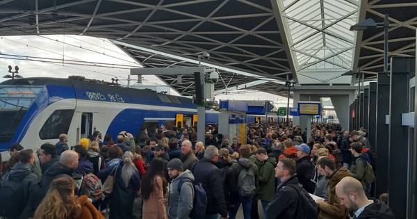 NS staakt op de vroege ochtend: overvolle treinen en perrons - BD.nl