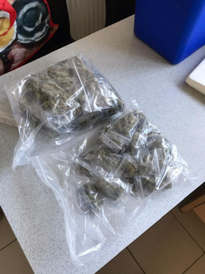MECHELEN - Bij de huiszoekingen werd er een aanzienlijke hoeveelheid drugs en geld aangetroffen. Net zoals verschillende wapens en luxeproducten.