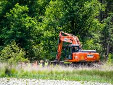 Nieuwe zoektocht naar Tanja Groen op Strabrechtse Heide in Geldrop, experts slaan handen ineen