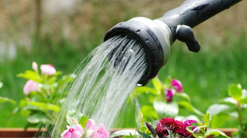 Expert vertelt hoe je zelf spaarzamer om kan gaan met water