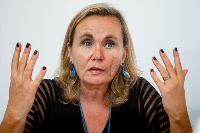 Vlaams minister van Wonen Liesbeth Homans.