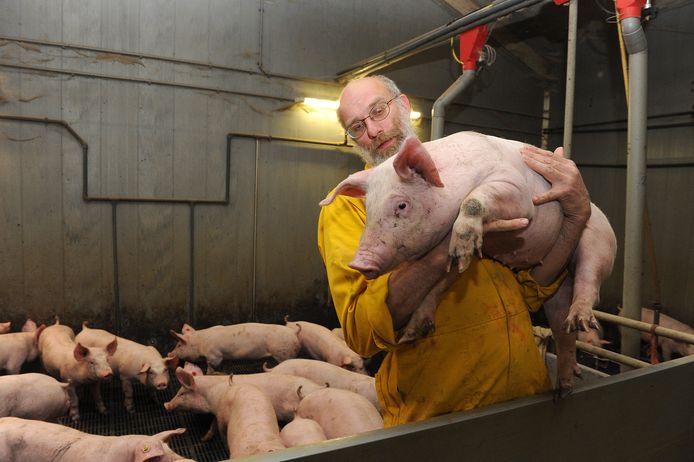 Gerbert Oosterlaken staat bekend als een boer die graag zijn verhaal vertelt. In 2013 werkte hij mee aan een serie van de Gelderlander waarbij het leven van een varken van geboorte tot slacht verslagen werd.