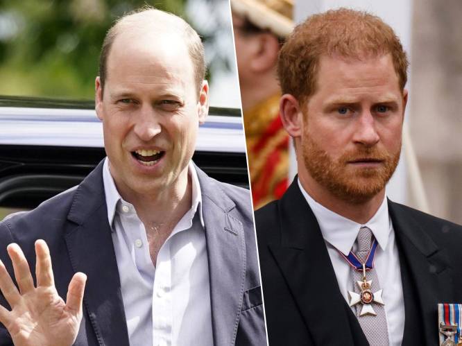 Waarom prins William maar beter vrede sluit met prins Harry: “Uitgerekend Meghan kan mee voor de verzoening zorgen”