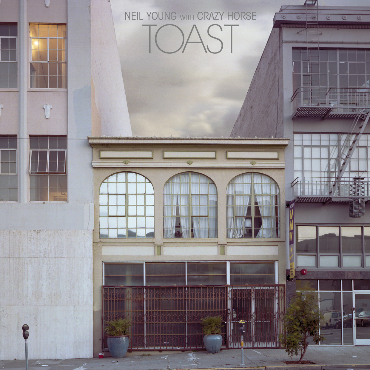 Neil Young - Toast Beeld rv