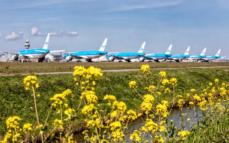 Geparkeerde KLM-vliegtuigen tijdens de coronacrisis. Beeld Raymond Rutting / de Volkskrant