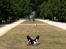 C'est officiel: la Belgique est frappée par la canicule