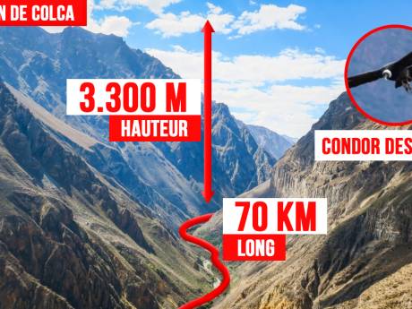 Ce qu’il faut savoir sur le canyon de Colca, au Pérou, où la Belge Natacha a disparu