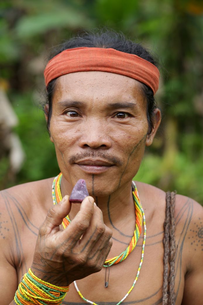 IN BEELD. Indonesische stam ontdekt Gentse neuzekes