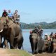 Waarom je op reis beter geen ritje op een olifant maakt