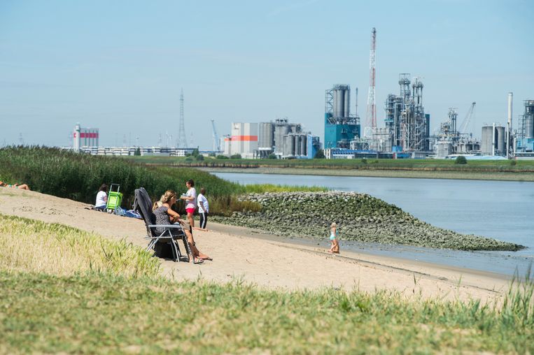 Vechtpartij op strand van Sint-Anneke in Antwerpen | De Morgen