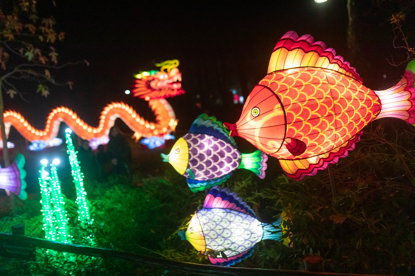 Lichtkunstwerken in de montage voor China Light Festival in Dierenpark