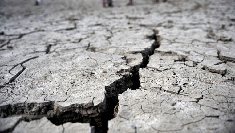 Door droogte gebarste aarde. Beeld epa