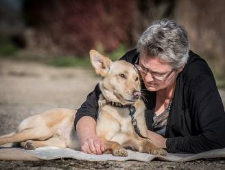 Nu ook rouwtherapie voor baasjes die hun huisdier verliezen: “Rouwen voor een dier kan even ingrijpend zijn als voor een mens”