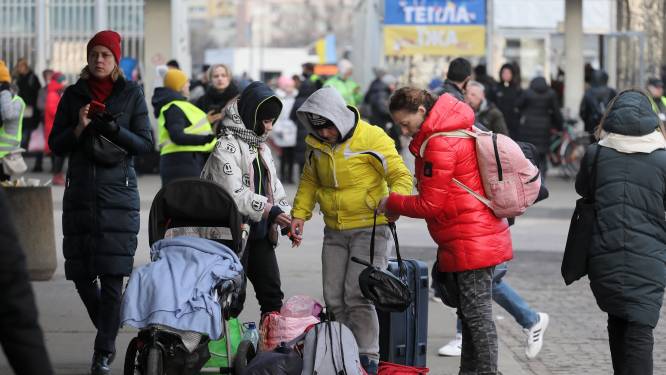 Rotterdammers bieden massaal opvang aan Oekraïners: ‘Hartverwarmend, maar weet waar je aan begint’