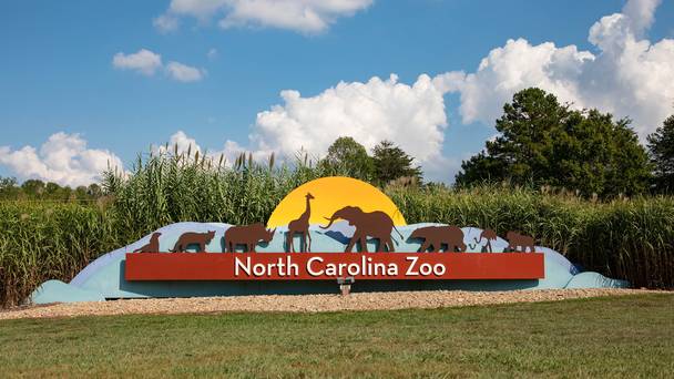 Secrets of the Zoo: North Carolina