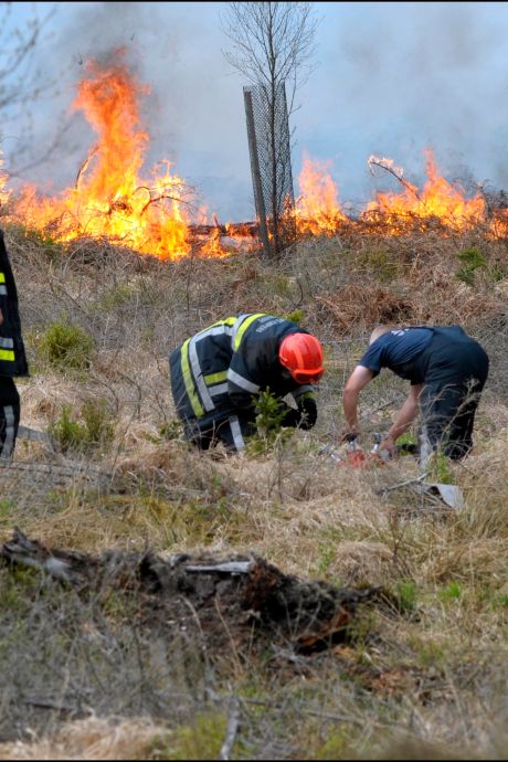 Début d’incendie dans les Fagnes, des renforts allemands mobilisés
