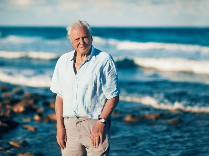 Presentator David Attenborough (91) gaat door tot z'n 100ste