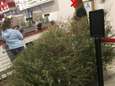 Vrouw sleurt kerstboom naar de winkel en eist geld terug: "Hij is dood"