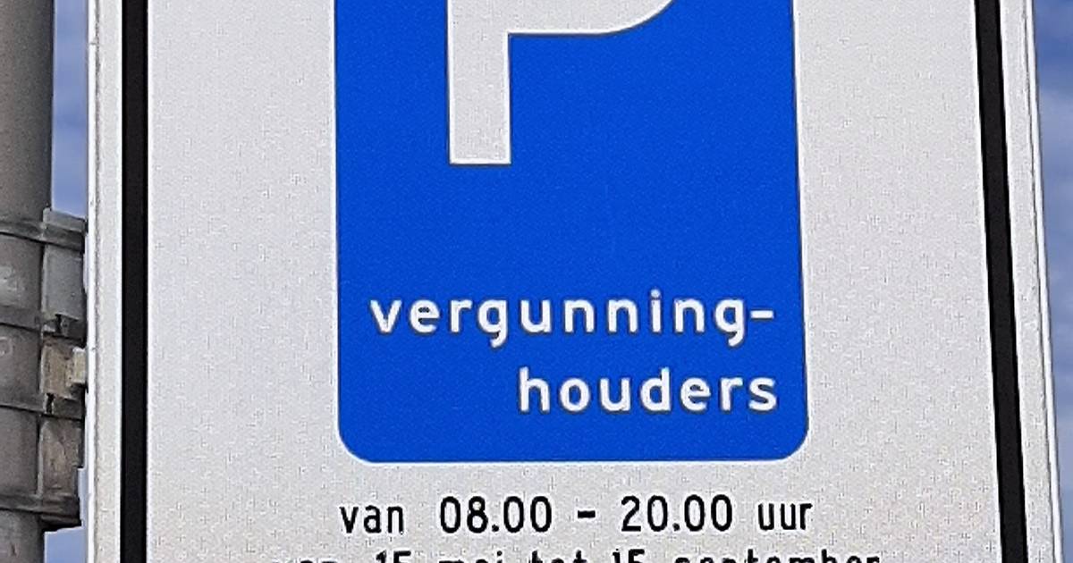 Ter Heijde krijgt nieuwe parkeerborden, maar nog beter: ‘Kom gewoon op de fiets naar het strand’