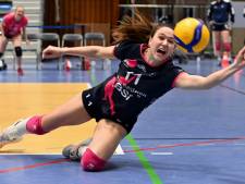 Nikita De Paepe sluit op het allerlaatste moment aan bij de selectie van de Yellow Tigers: “Het was een verrassend telefoontje”
