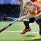 De schutters sterven uit