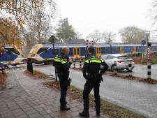 Vier loslopende pony’s blokkeren treinverkeer in Baarn, politie haalt ze van het spoor