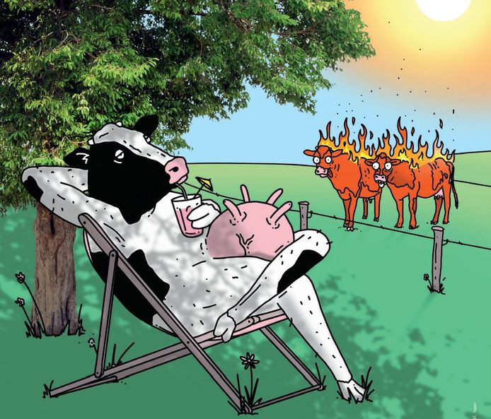 Het campagnebeeld